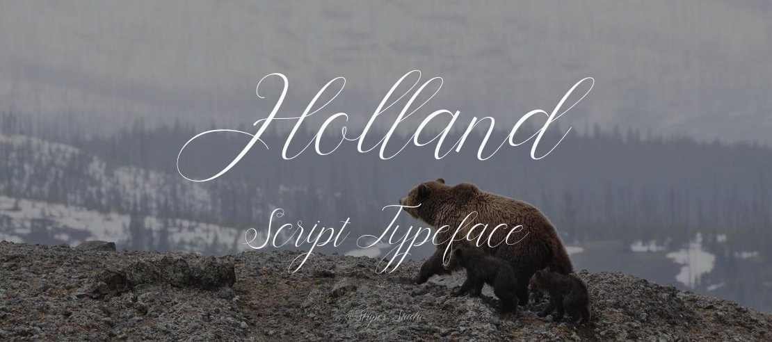 Holland Script Font