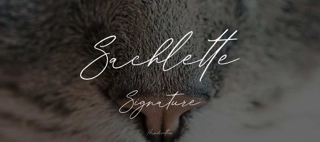 Sachlette Signature Font