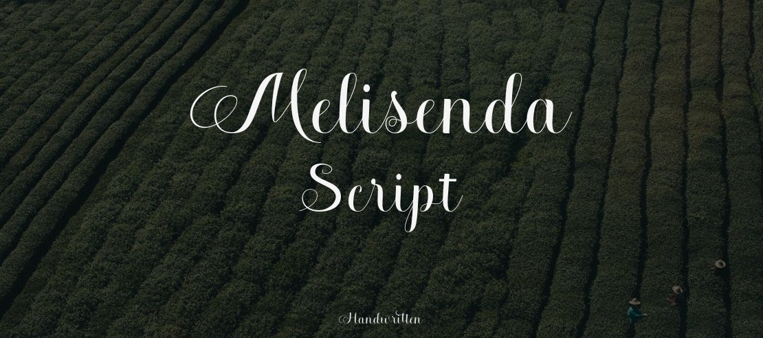 Melisenda Script Font