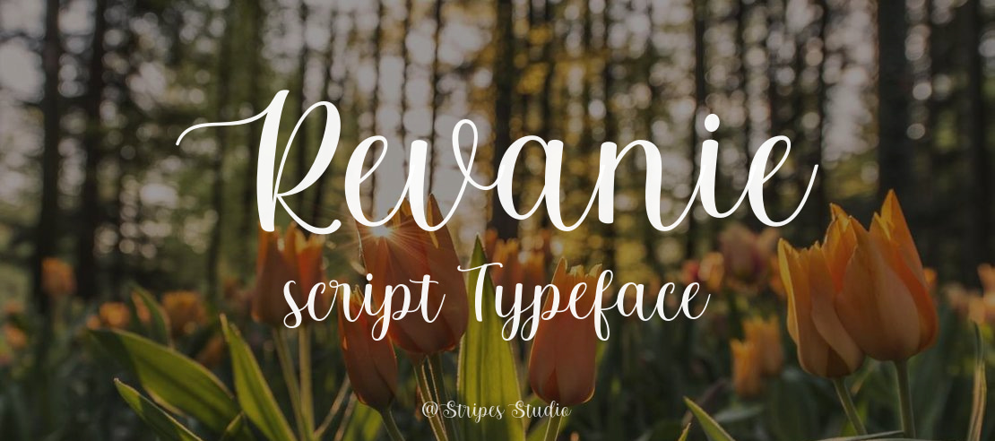 Revanie script Font