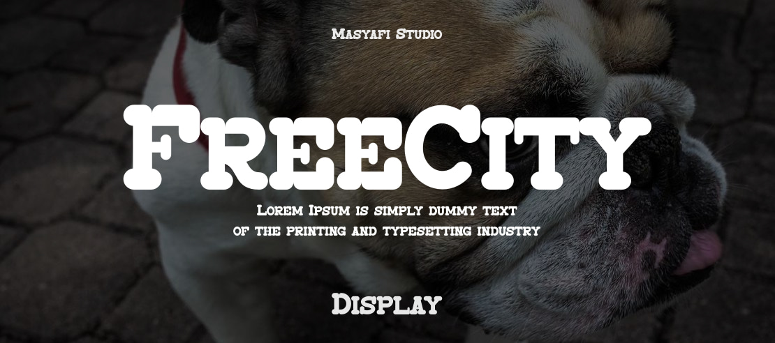 FreeCity Font