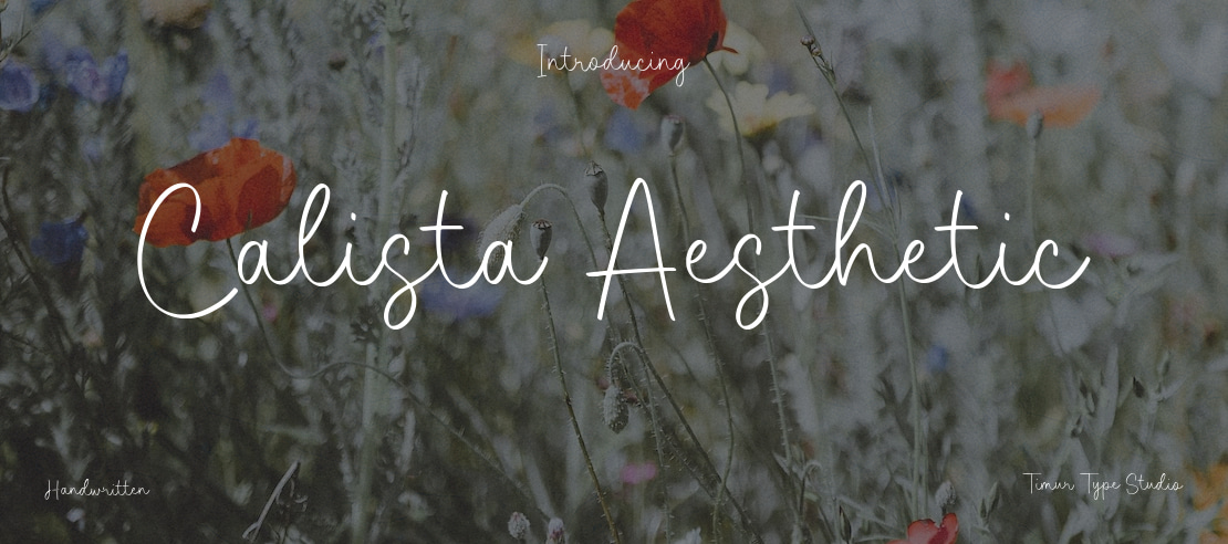 Calista Aesthetic Font