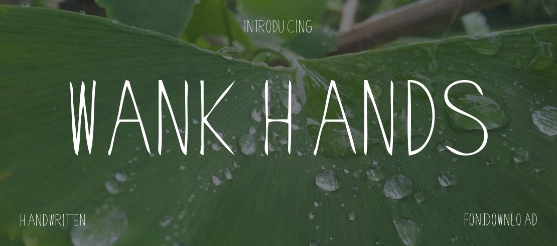 Wank Hands Font