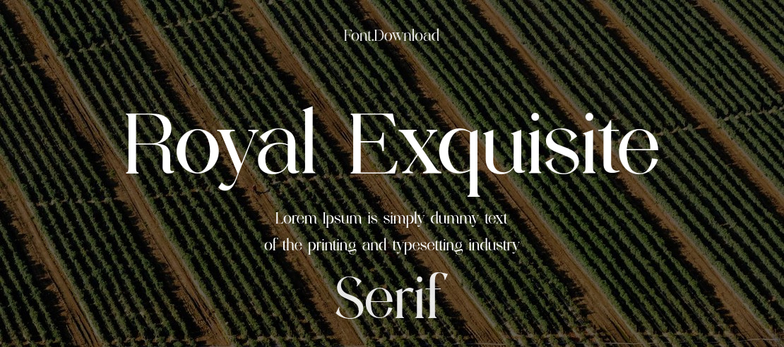 Royal Exquisite Font