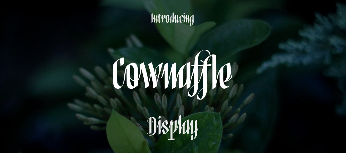 Cownaffle Font