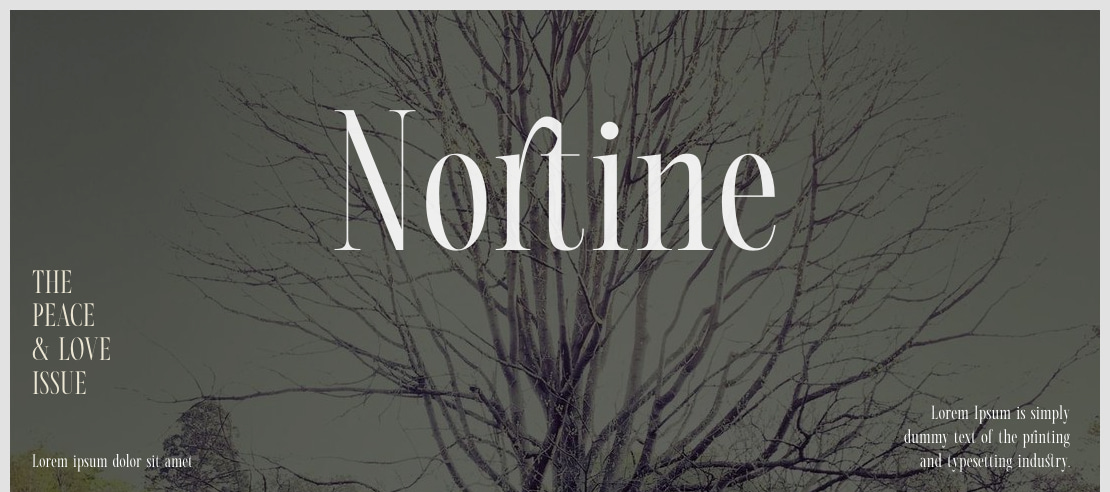 Nortine Font