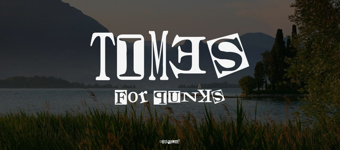 Times for Punks Font