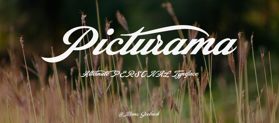 Picturama Alternate PERSONAL Font