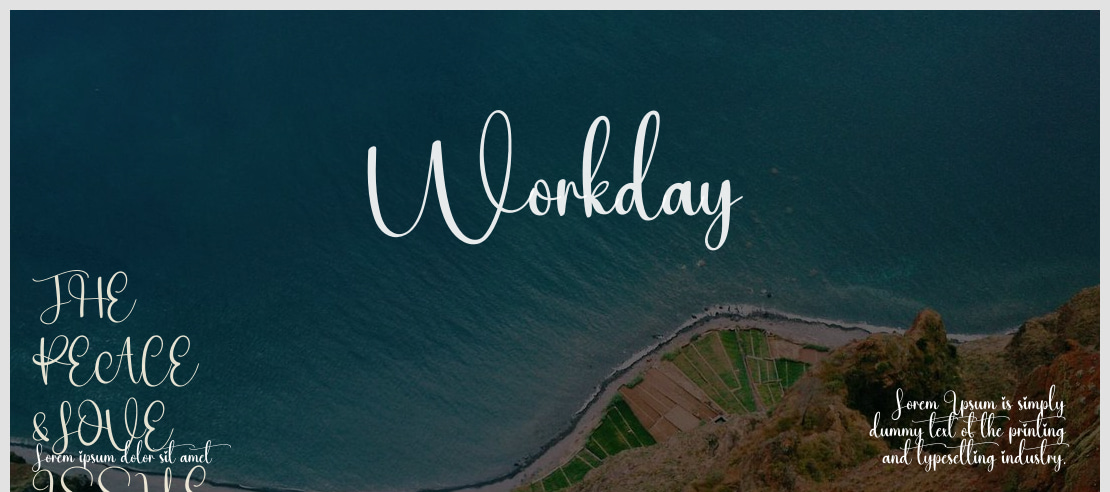 Workday Font