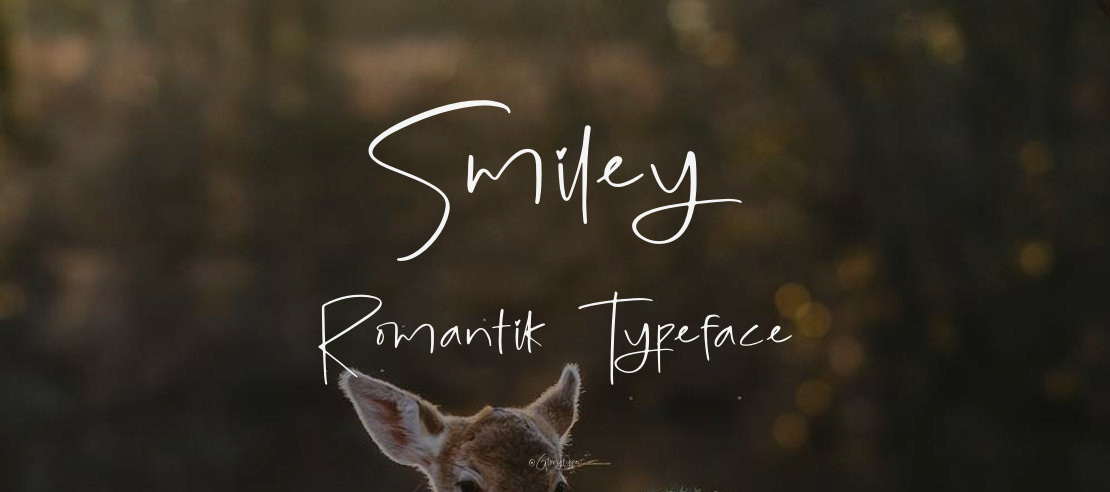 Smiley Romantik Font