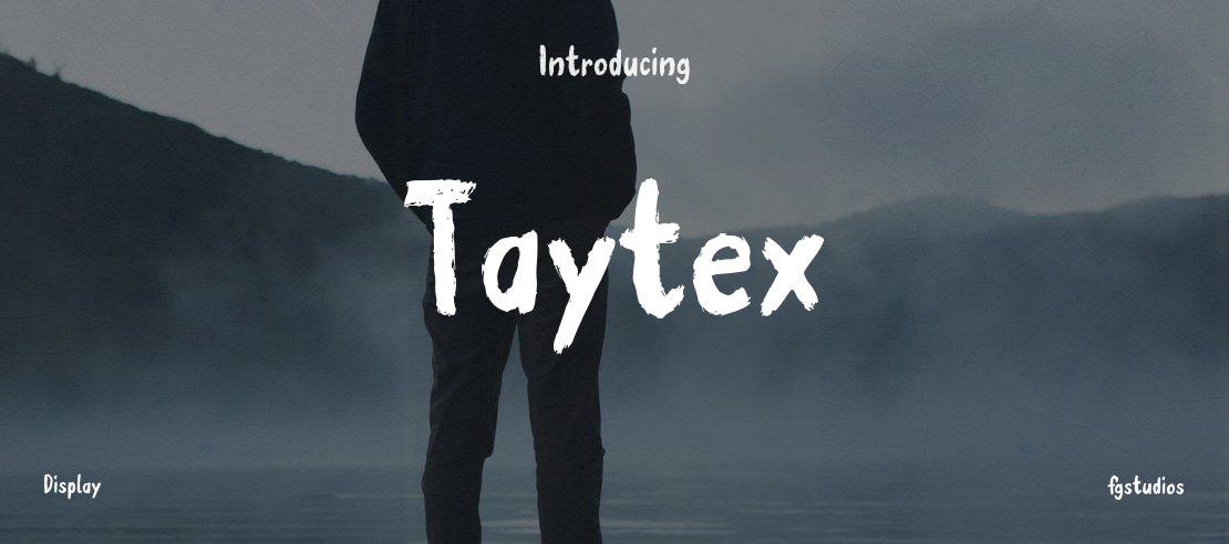 Taytex Font Family