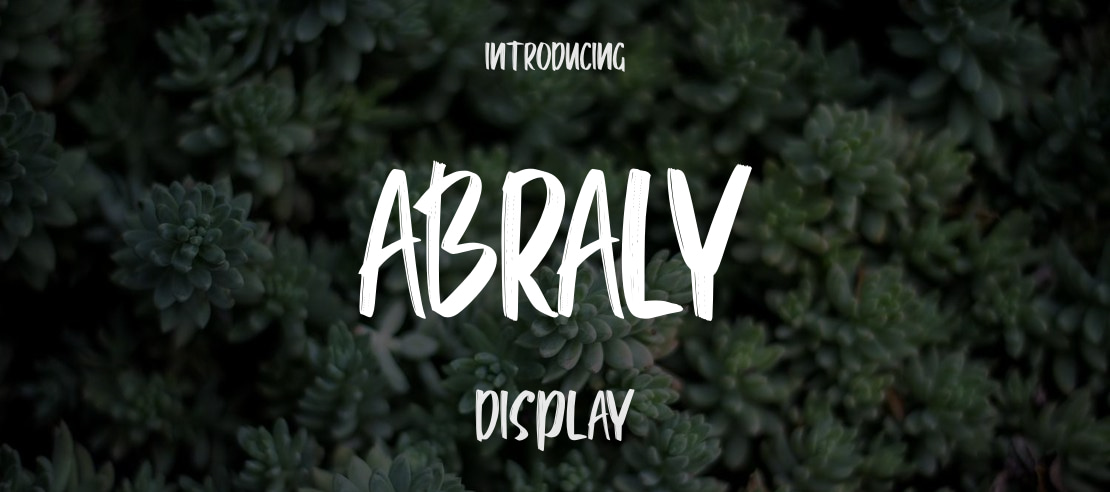 Abraly Font