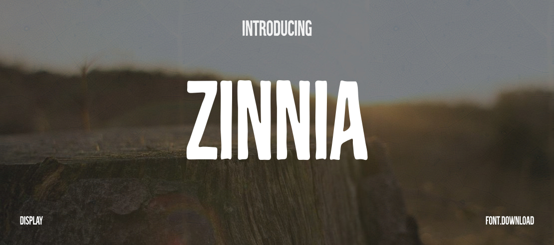 Zinnia Font