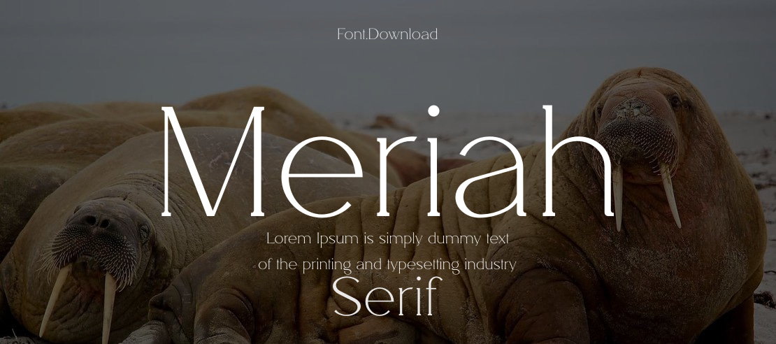 Meriah Font