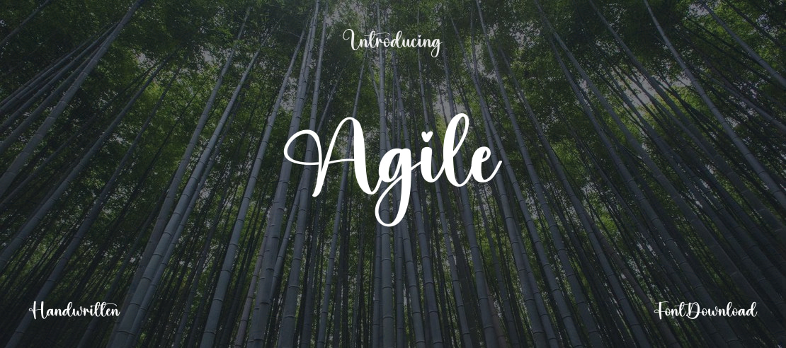Agile Font
