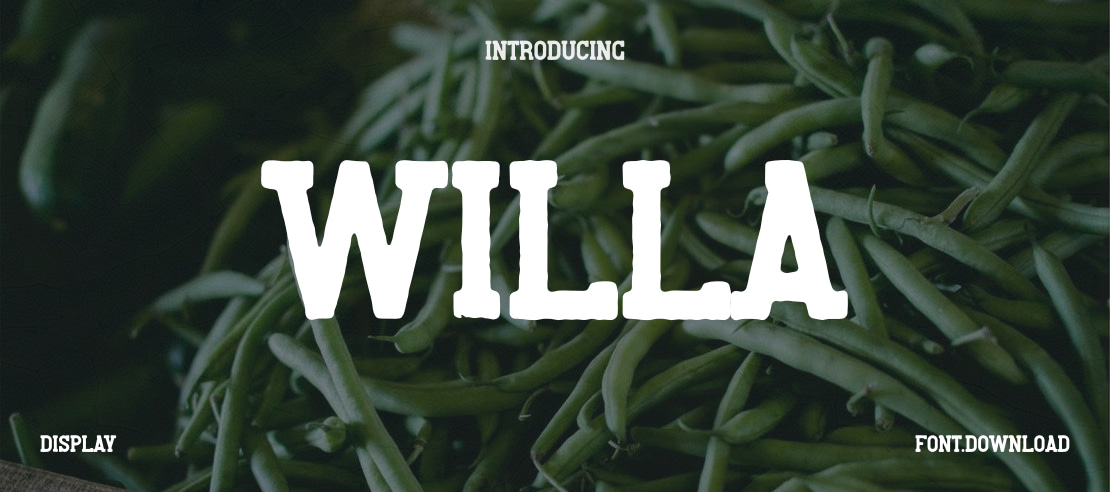 Willa Font