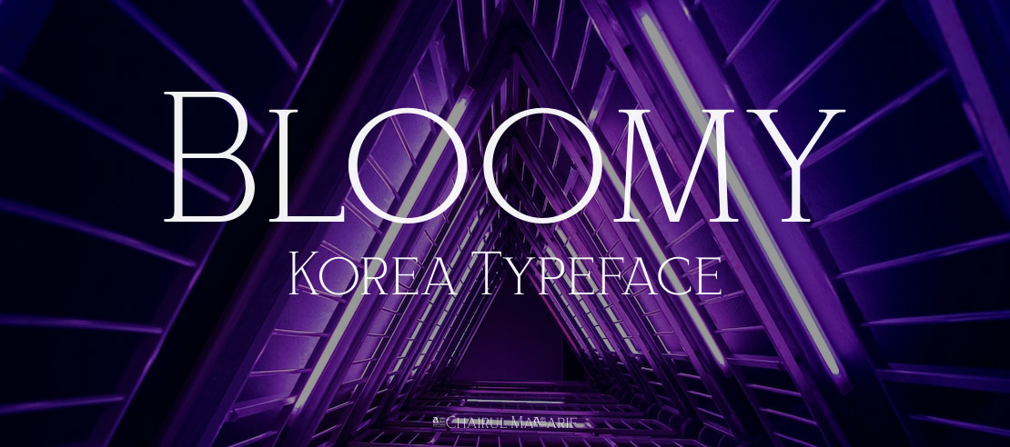 Bloomy Korea Font