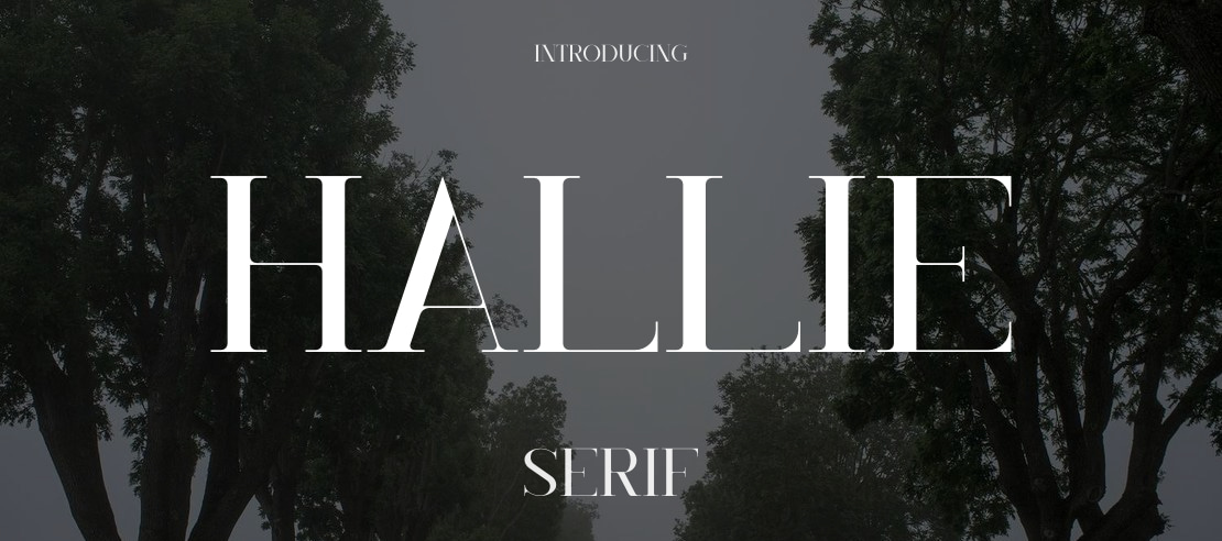 Hallie Font