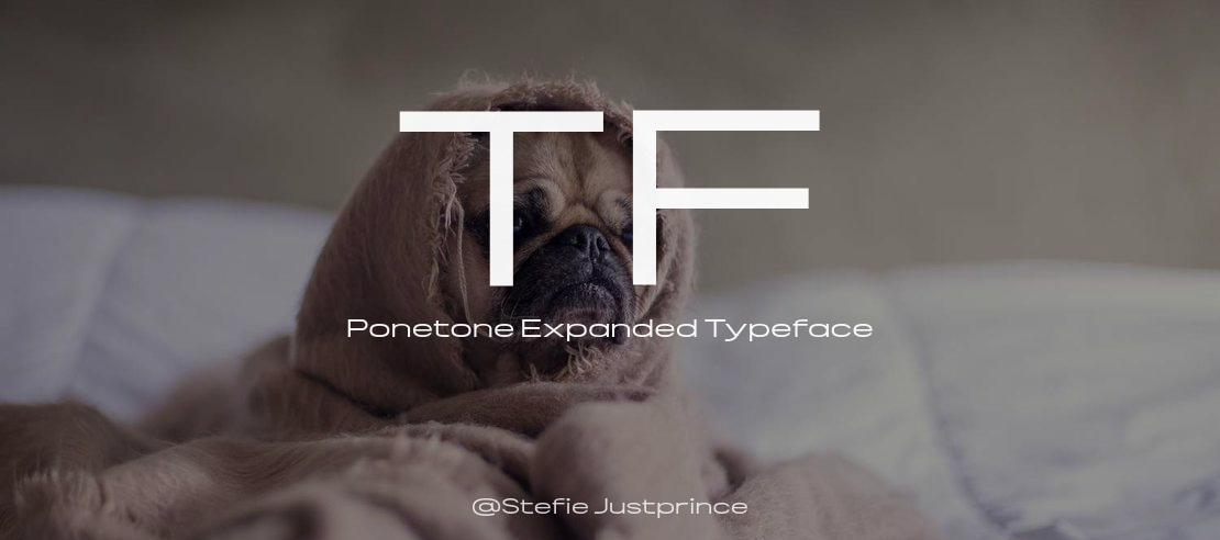TF Ponetone Expanded Font