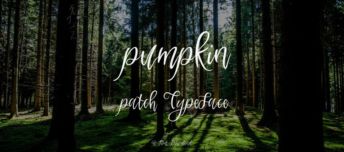 pumpkin patch Font