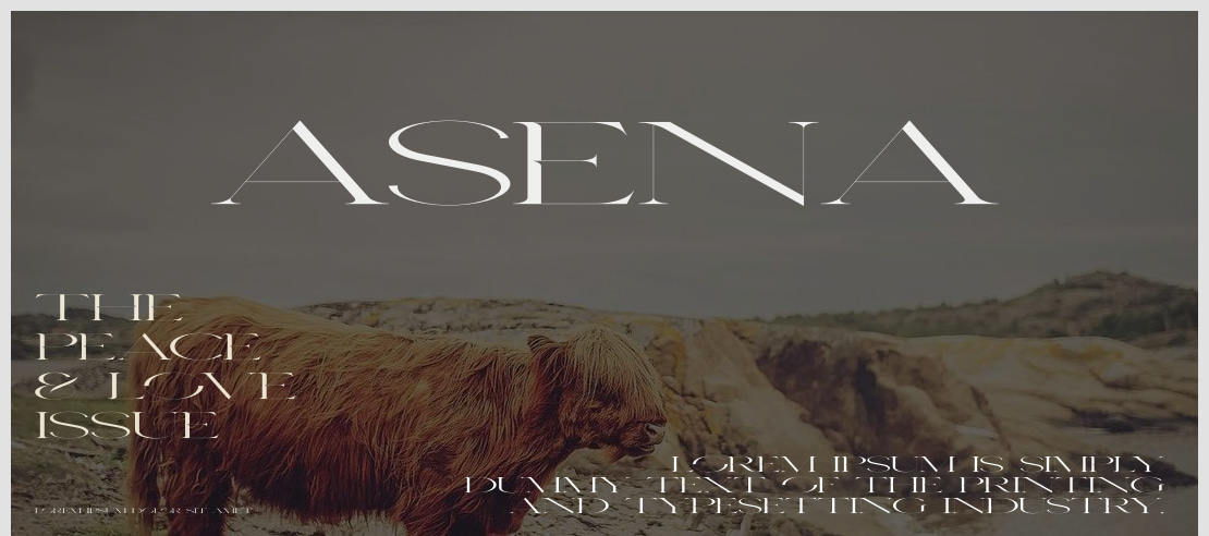 Asena Font