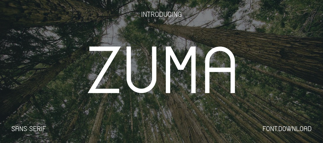 Zuma Font