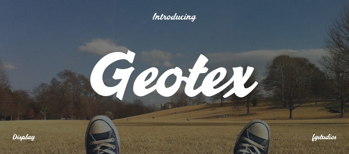 Geotex Font