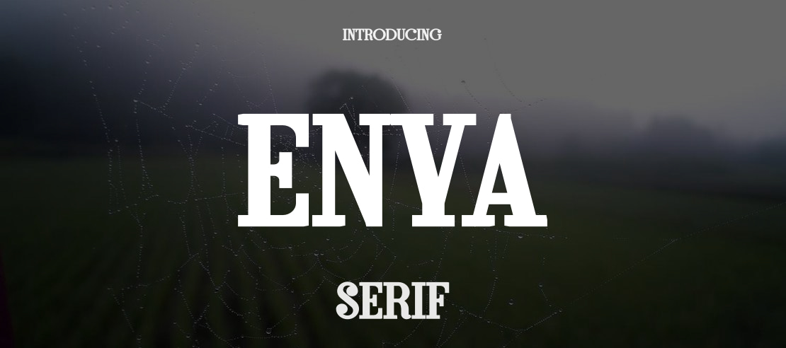 Enya Font