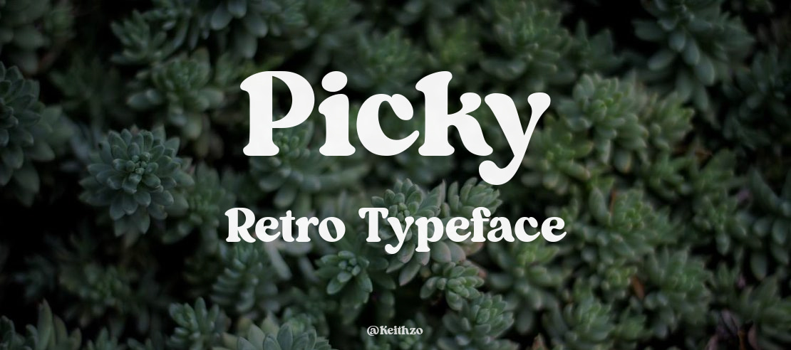 Picky Retro Font