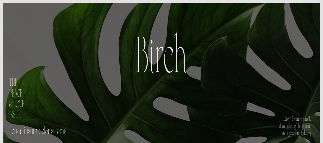 Birch Font