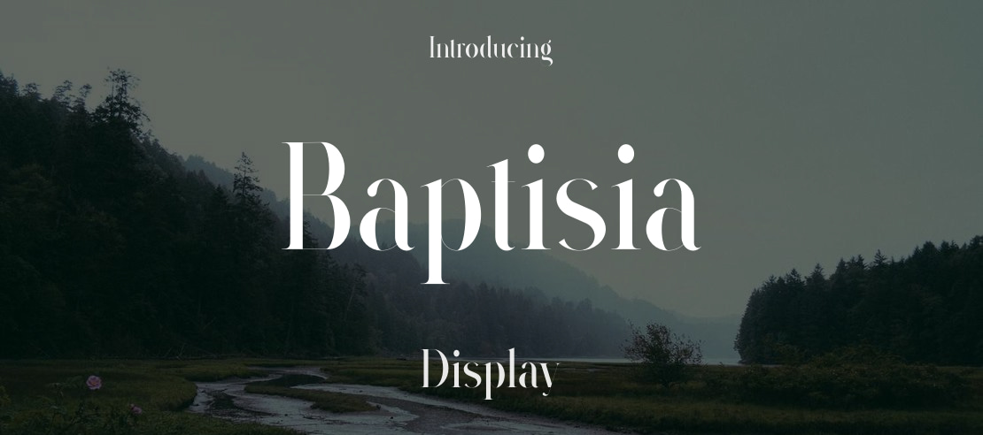 Baptisia Font