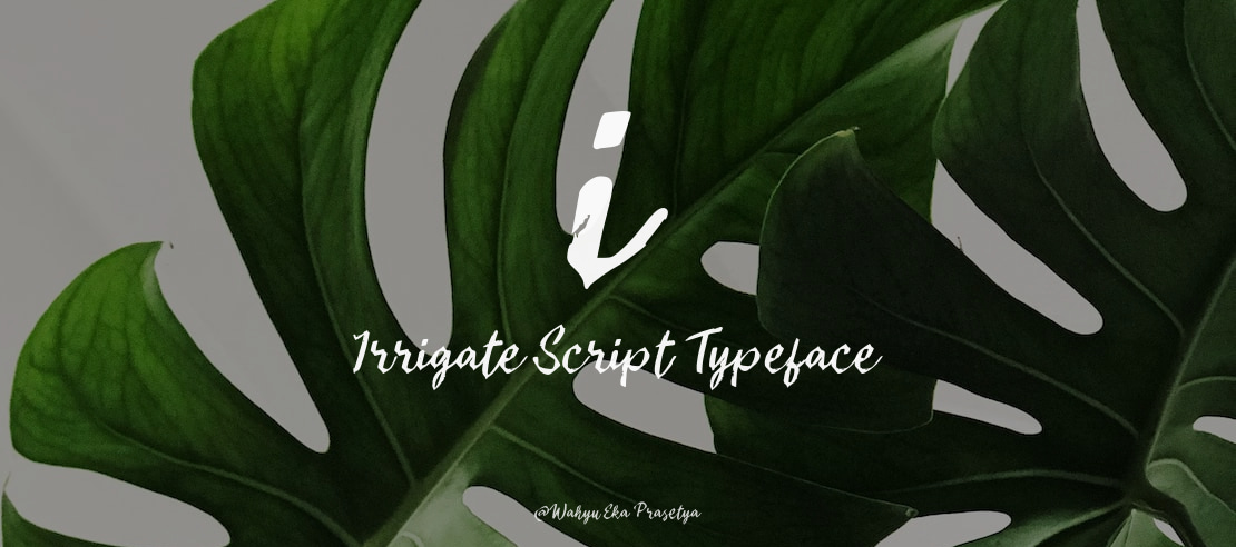 i Irrigate Script Font