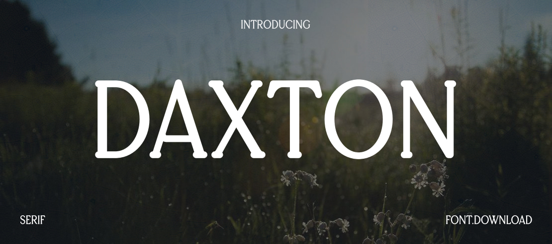 Daxton Font
