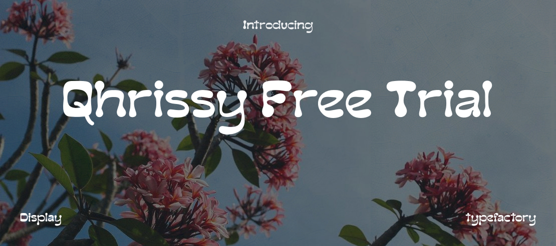 Qhrissy Free Trial Font