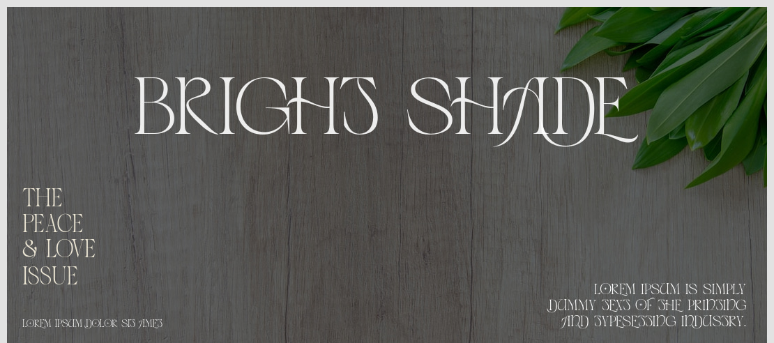 Bright shade Font