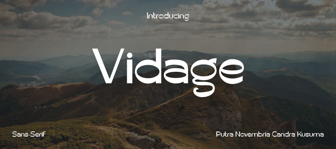 Vidage Font