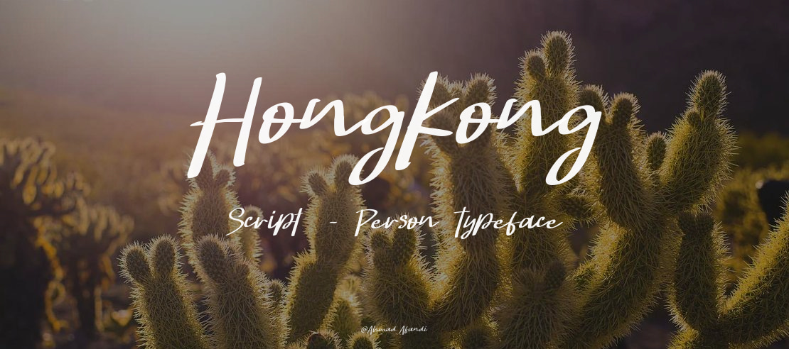 Hongkong Script  - Person Font