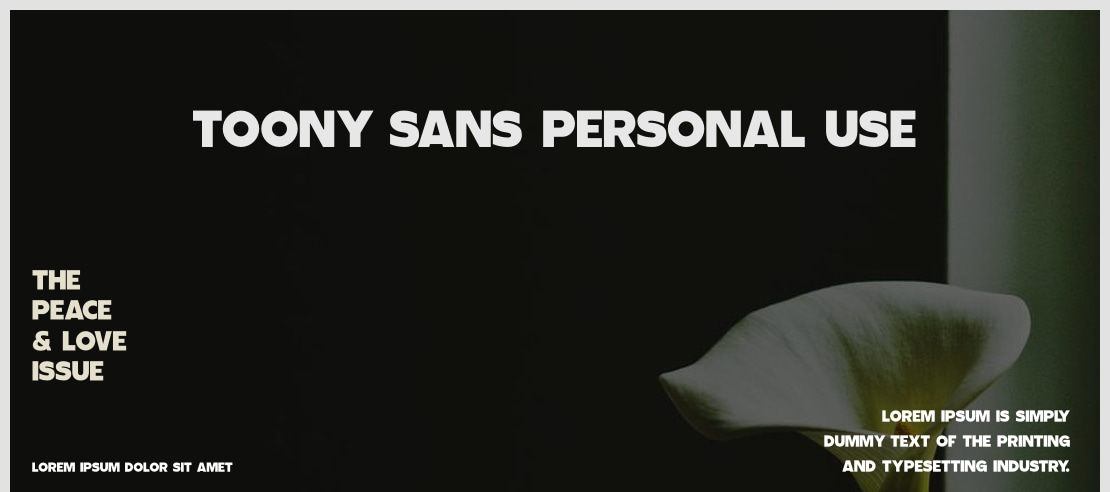 Toony Sans PERSONAL USE Font Family