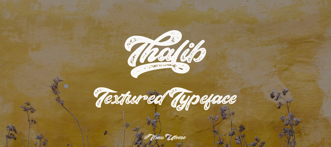 Thalib Textured Font Family