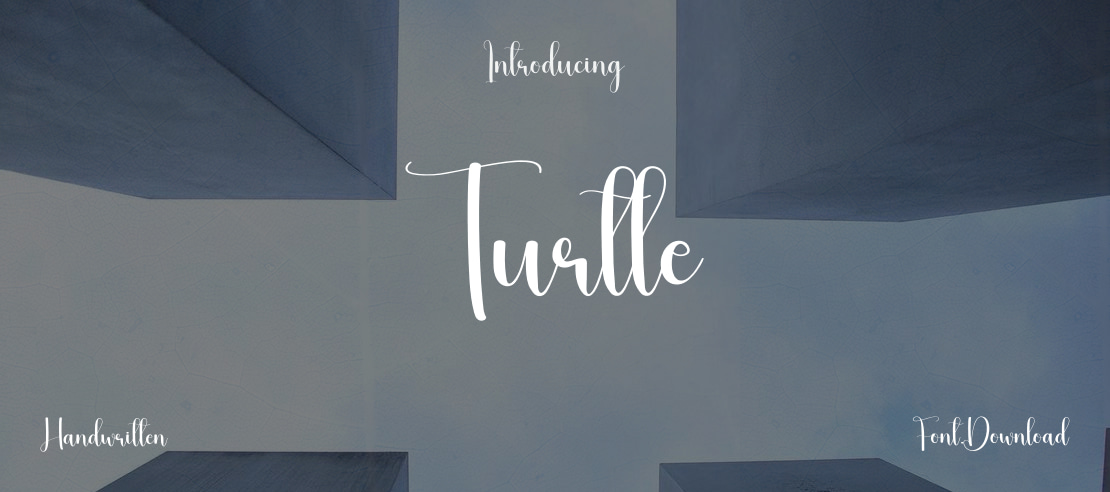 Turtle Font