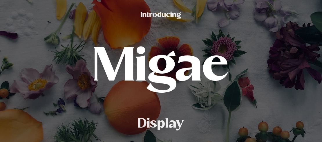 Migae Font