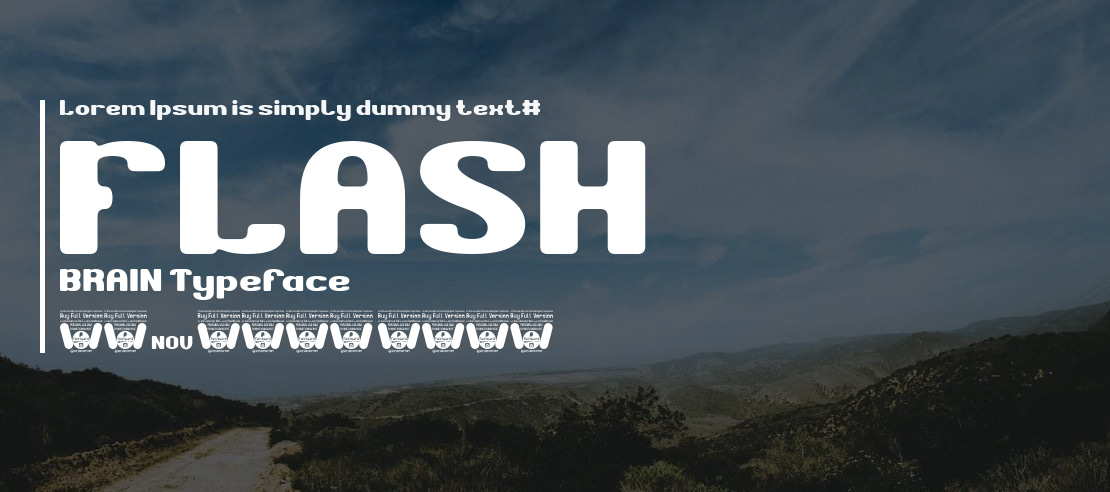 FLASH BRAIN Font