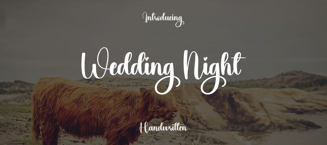 Wedding Night Font