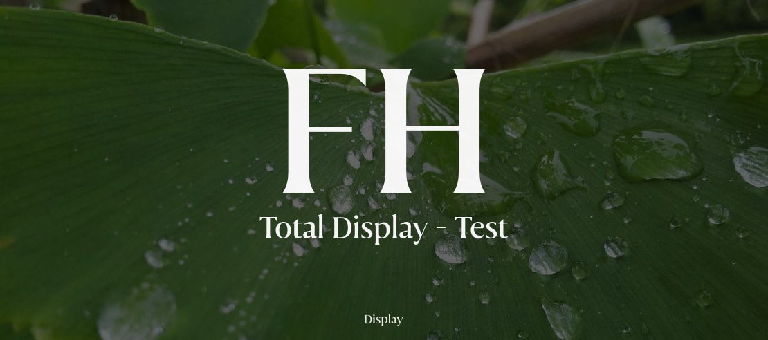 FH Total Display - Test Font Family