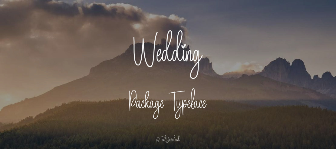 Wedding Package Font