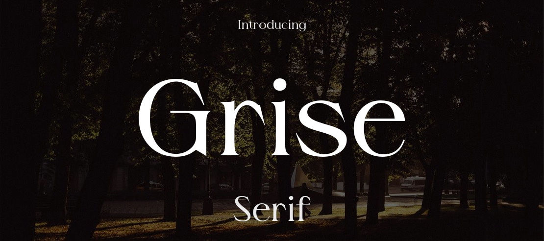 Grise Font Family