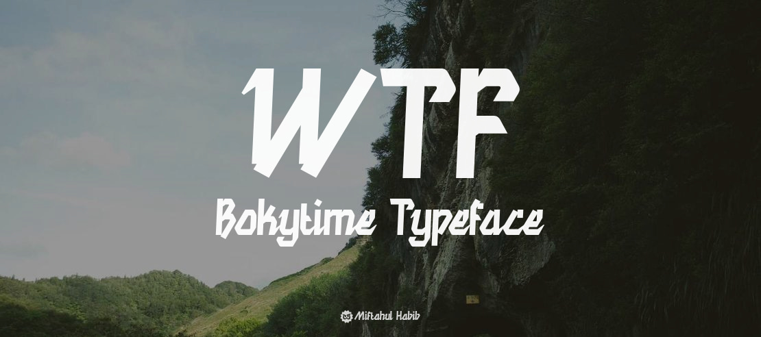 WTF Bokytime Font