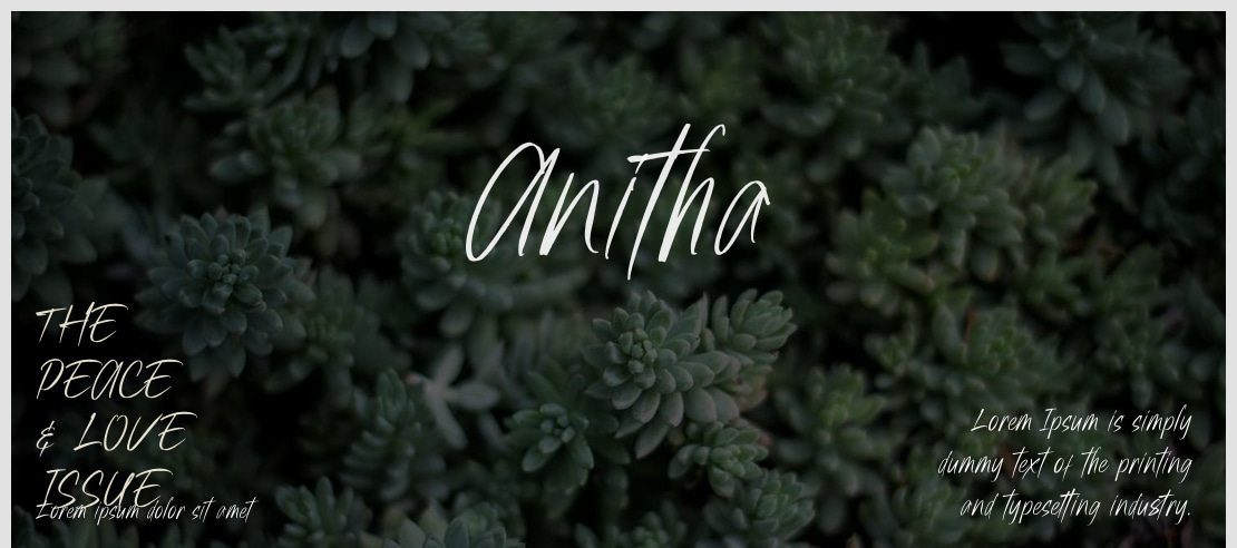 Anitha Font Family