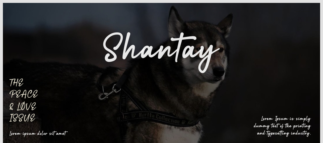 Shantay Font Family