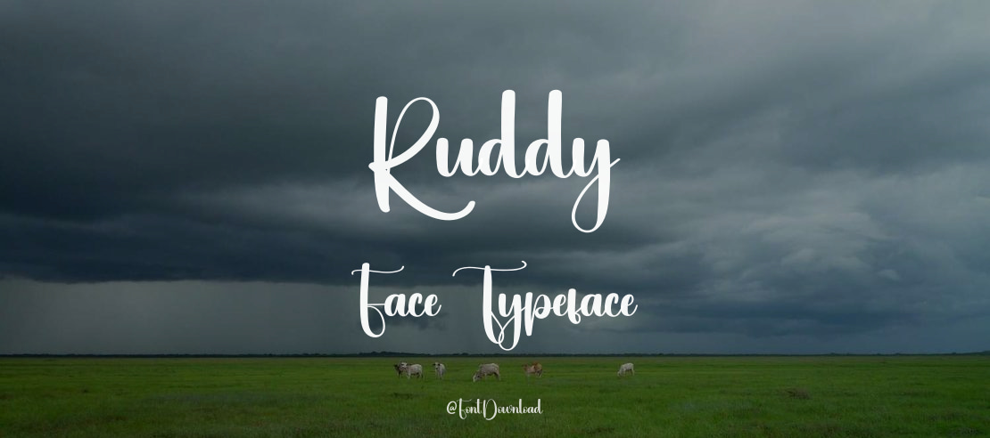 Ruddy Face Font